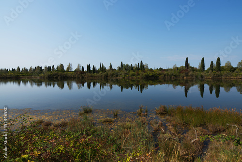 Laguna in Friuli Venezia Giulia, Italia, riserva naturale della Valle Cavanata photo