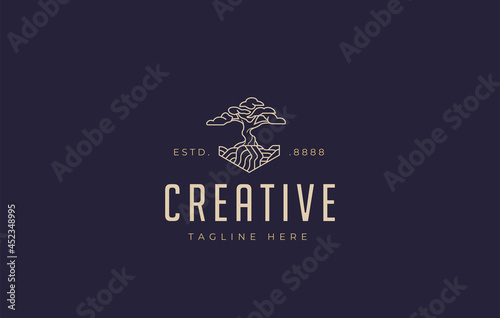 Bonsai Plant Logo Design Inspiration. Vector illustration of unique bonsai and layered soil. Modern Icon Design Vector Template with Line Style photo