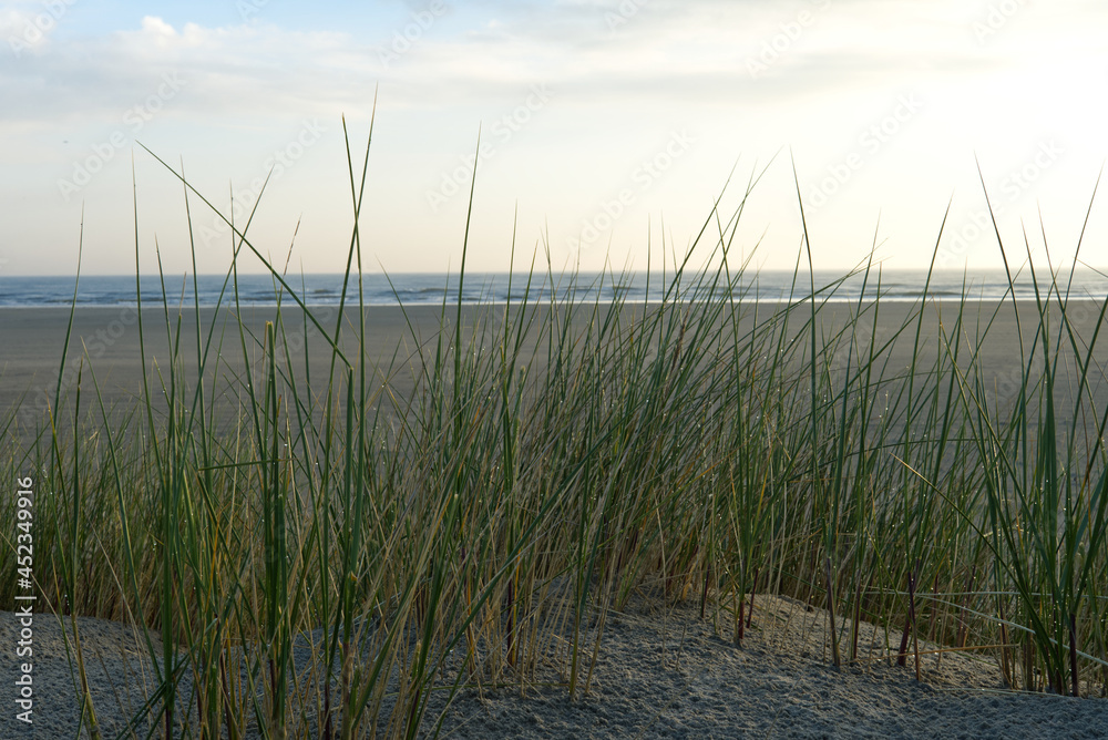 Blick durch Dünengras auf die Nordsee am Oststrand auf Baltrum Blick durch Dünengras auf die Nordsee am Oststrand auf Baltrum
