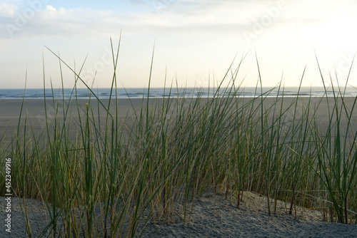 Blick durch Dünengras auf die Nordsee am Oststrand auf Baltrum