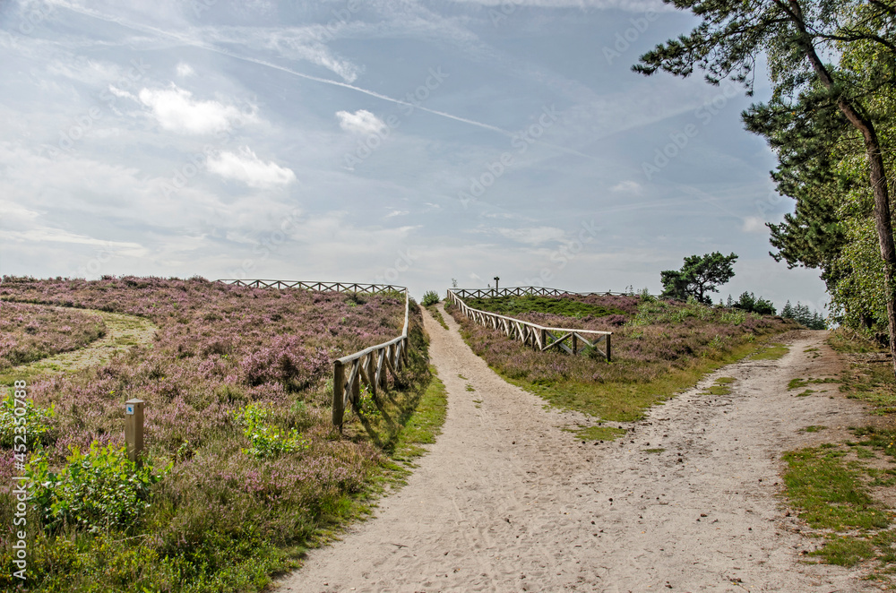 Sandpath between heatter and forest with a sidetrack towards a viewpoint in Sallandse Heuvelrug National Park in the Netherlands