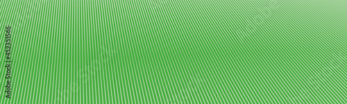 abstract vector texture of green lines background with gradient 