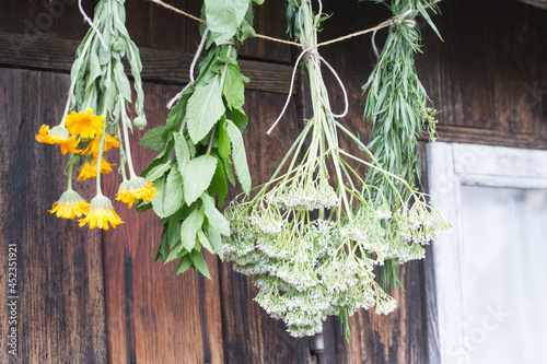 Medicinal herbs are hanging and drying