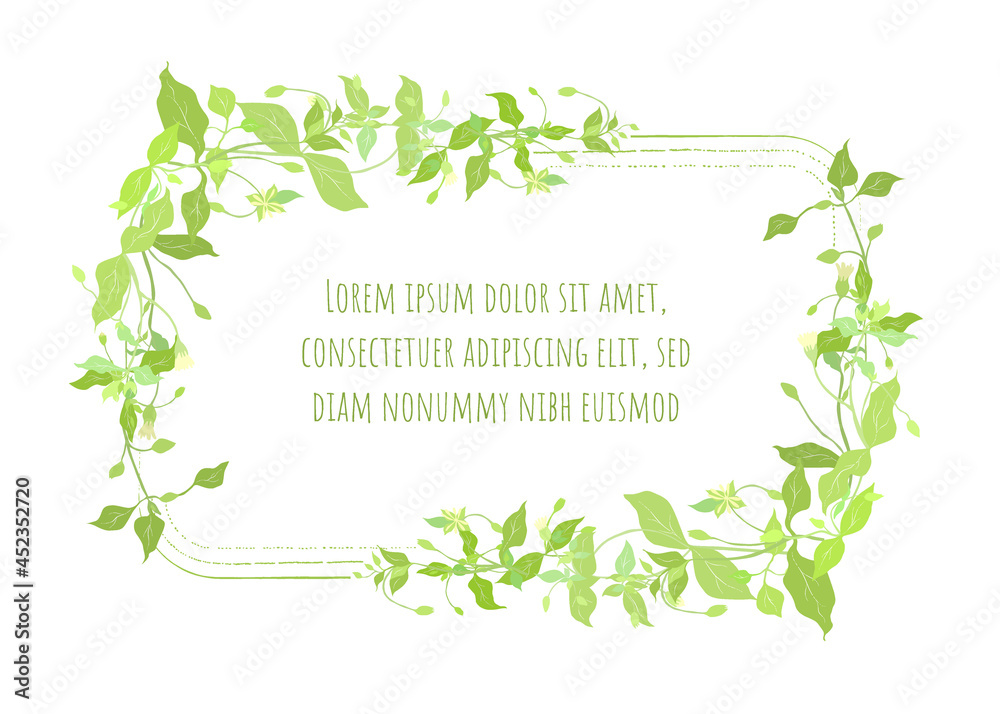 Frame with Floral Garland from Stellaria media Frame with Floral Garland from Stellaria media