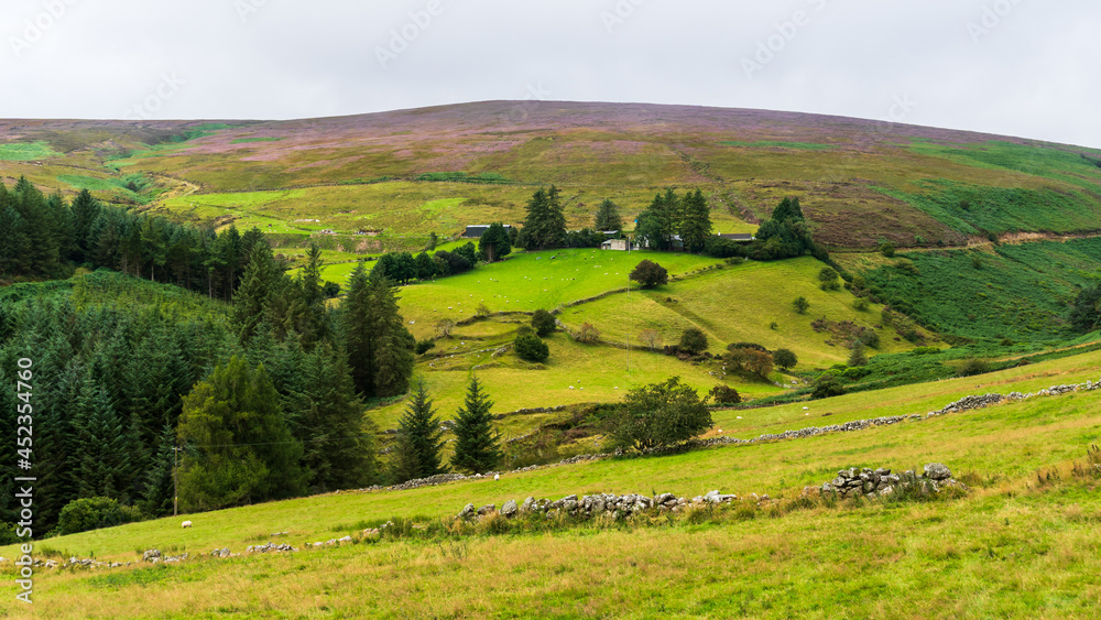 Typical Irish countryside landscape. Summer in Ireland.