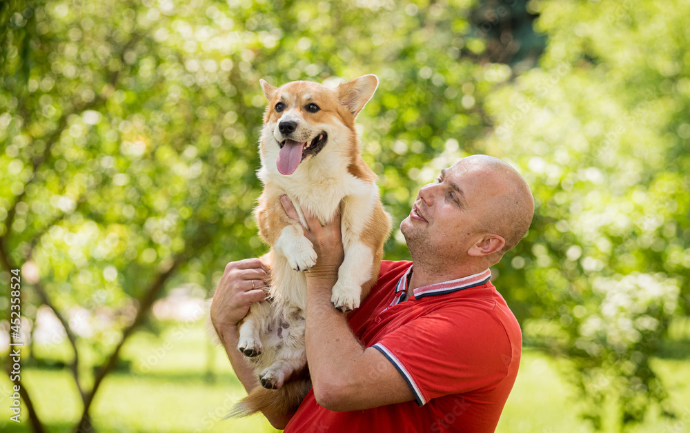 Adult man is training her Welsh Corgi Pembroke dog at city park Adult man is training her Welsh Corgi Pembroke dog at city park