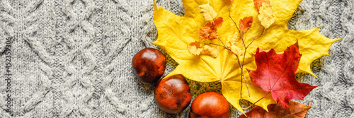 autumn yellow and red leaves of maple and cherry, and three chestnuts are located on the background of a gray cozy knitted sweater or plaid with a pigtail pattern. fall concept. banner