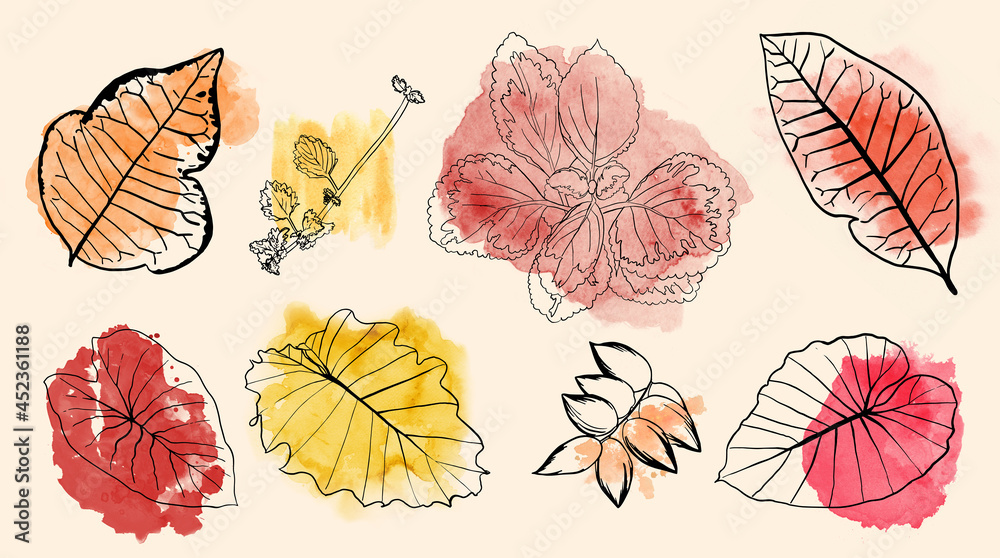 Fototapeta Liście na tle akwareli, jesienne kwiaty liść projekt, abstrakcyjna ilustracja jesień w kolorze pomarańczowym, niebieskim, zielonym, brązowym i żółtym, zestaw konturów roślin w minimalnych elementach projektu czarnej sylwetki