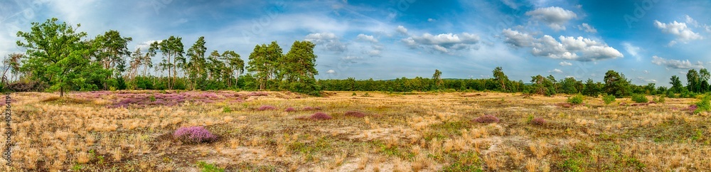 Lüneburger Heide - Naturschutzgebiet Sande
