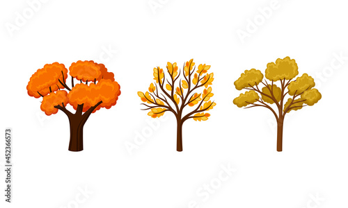 Colorful autumn trees set. Fall tree for garden, park and forest landscape design element vector illustration