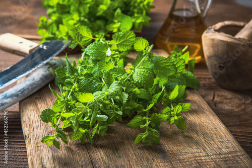 Garden Fresh Melissa Officinalis or Lemon Balm Herb on Wooden Table