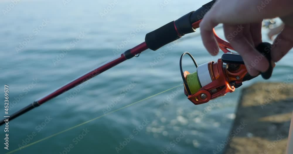 close-up of female hands spinning the reel on the spinning rod. woman fishing. close-up of female hands spinning the reel on the spinning rod. woman fishing.