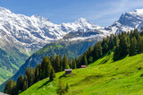 View on Swiss Alps on sunny day near Murren, Switzerland.
