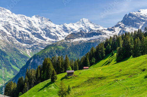 View on Swiss Alps on sunny day near Murren, Switzerland. © karamysh