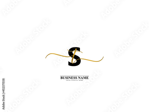 Letter ST Logo, creative st ts signature logo for wedding, fashion, apparel and clothing brand or any kind of business