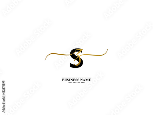 Letter SZ Logo, creative sz zs signature logo for wedding, fashion, apparel and clothing brand or any kind of business photo