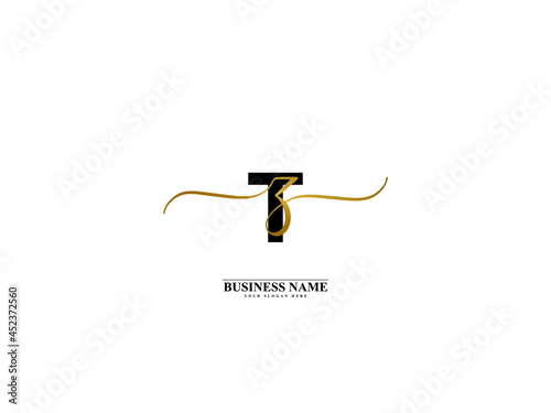 Letter TZ Logo, creative tz zt signature logo for wedding, fashion, apparel and clothing brand or any kind of business photo