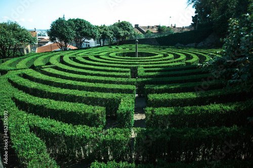 Maze built by hedges in public park of Sao Roque, Porto, Portugal.