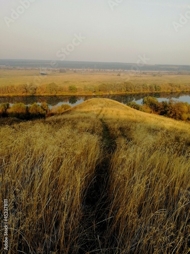 morning in the countryside