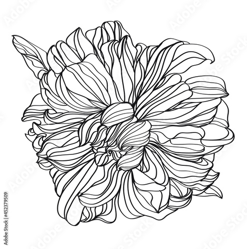 hand drawn sketch of flower