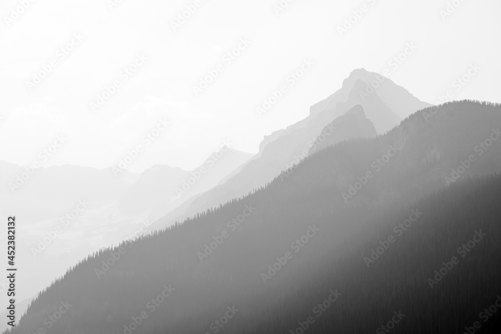 Rocky Mountains landscape in black and white with pine tree forest, Alberta, Canada.