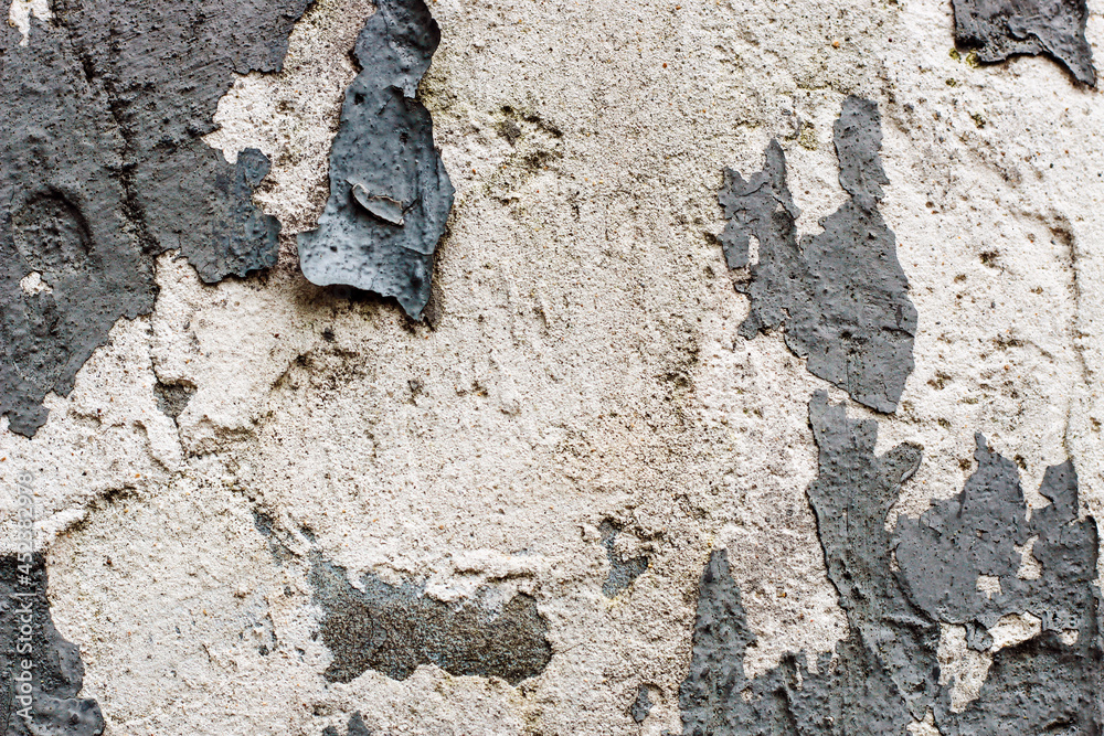 Fototapeta premium Dark concrete texture paint cracked old wall.