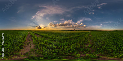 spherical evening hdri panorama 360 view among farming fields with awesome sunset clouds in equirectangular projection  ready for VR AR virtual reality content