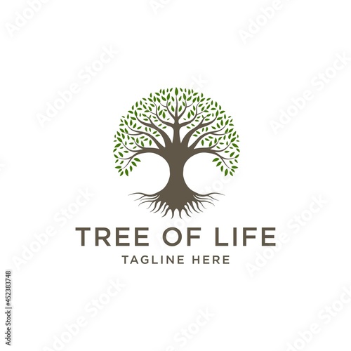 Family Tree of Life Logo design