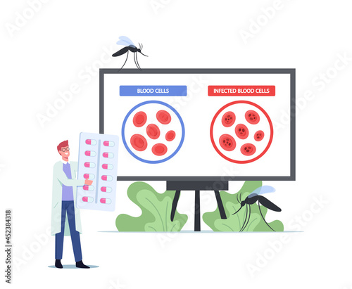 Microbiology Scientist Male Character Learning Blood Cells Infected Plasmodium Parasites Malaria Desease Causes