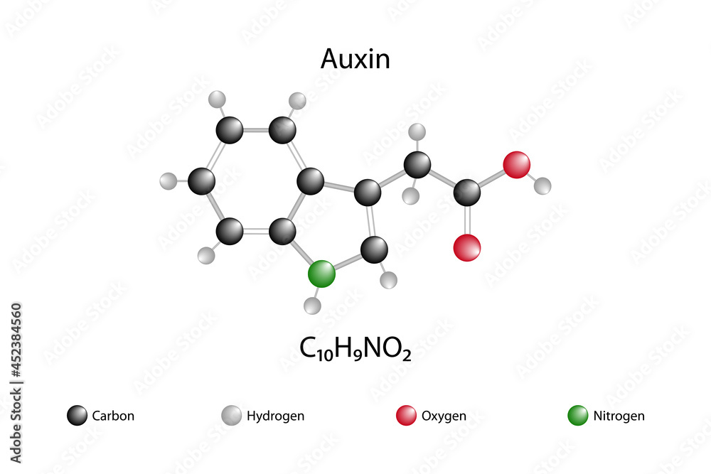 Molecular formula of auxin. Auxin is one of the most important hormones