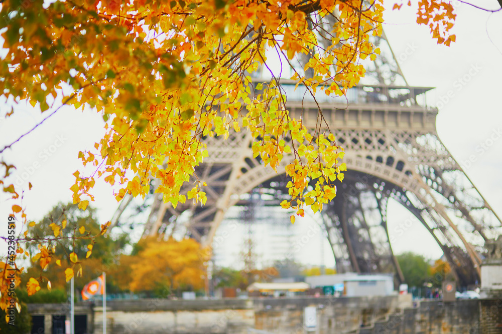 Scenic view of the Eiffel tower with yellow autumn leaves