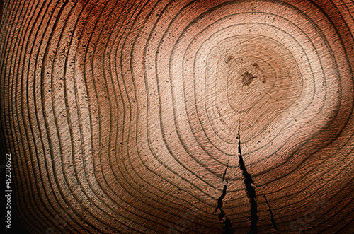 wood rings with cracks, natural background