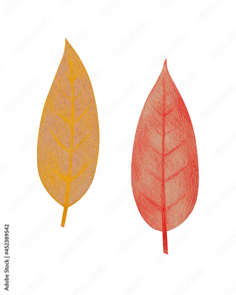 Hand drawn yellow and red leaves with a rough texture. Isolated plant drawing with colored pencils on craft paper. Colorful autumn illustration, art design elements, effect of handmade paper-cut decor Hand drawn yellow and red leaves with a rough texture. Isolated plant drawing with colored pencils on craft paper. Colorful autumn illustration, art design elements, effect of handmade paper-cut decor