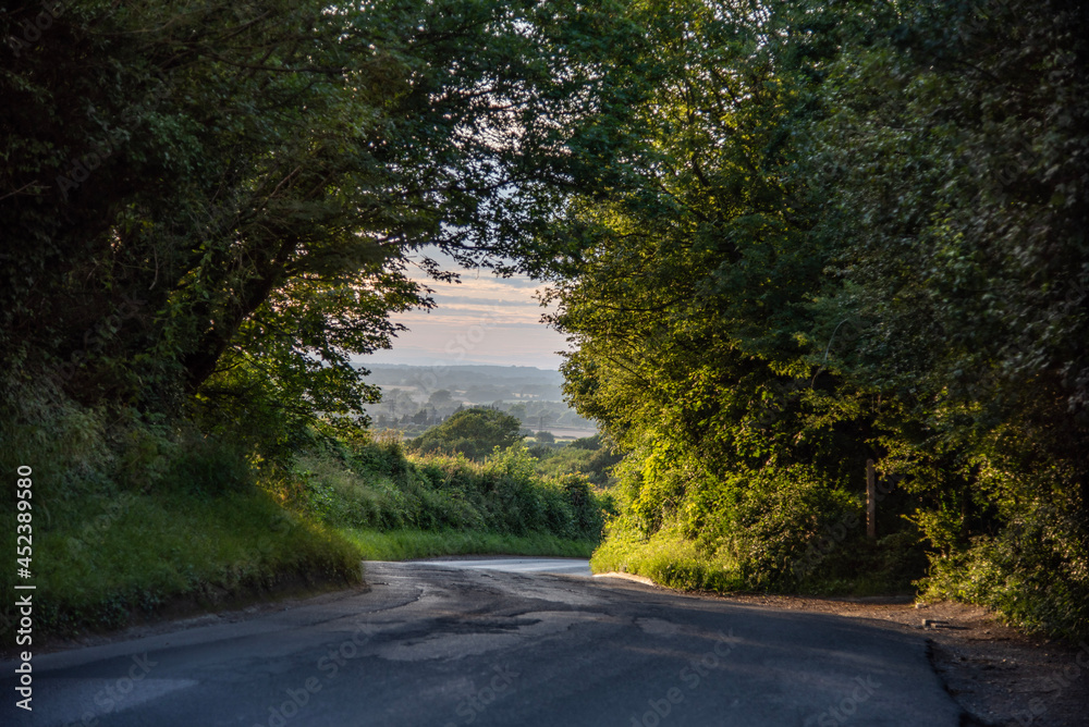 Obraz premium Road on the top of farm land hill, in evening sunset colours.