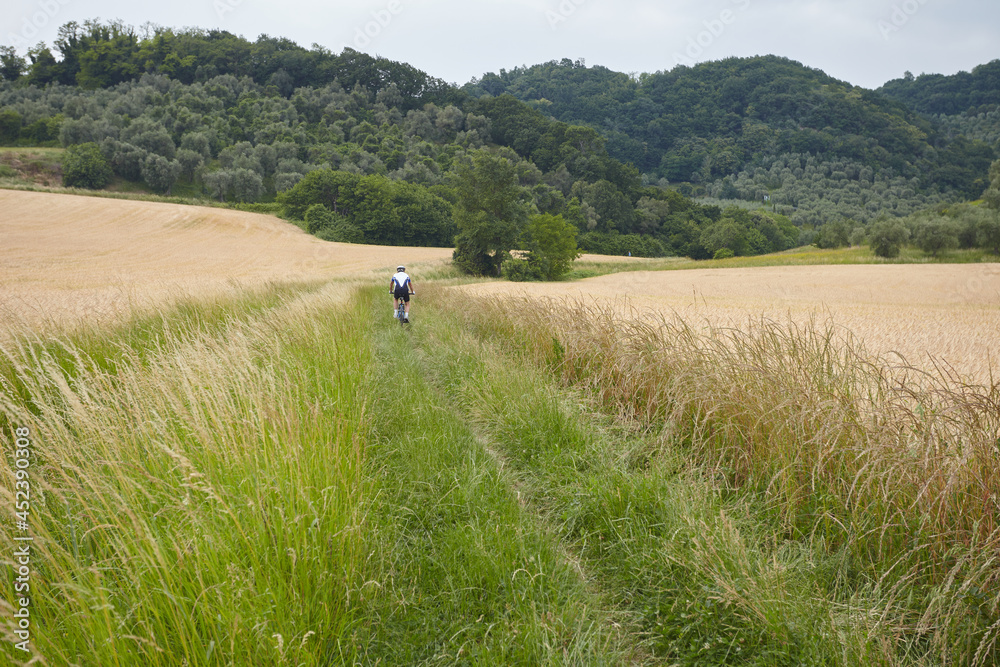 Biker in wheat field