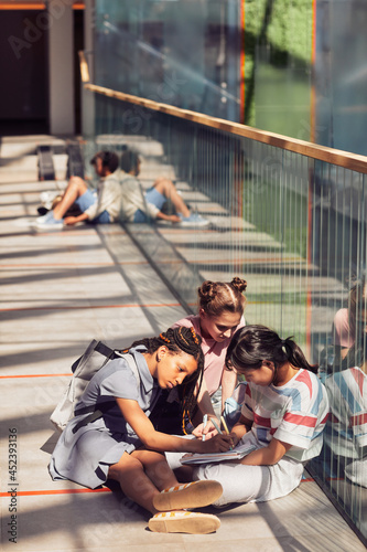 Vertical portrait of schoolkids doing homework while sitting on floor in school lit by sunlight, copy space