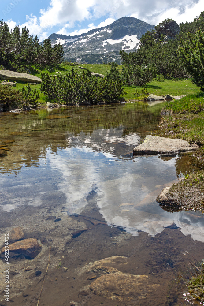 Mountain river and Banderishki Chukar Peak, Pirin Mountain, Bulgaria