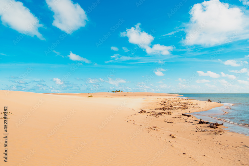 Dunas Douradas de Piaçabuçu, Alagoas, Brazil