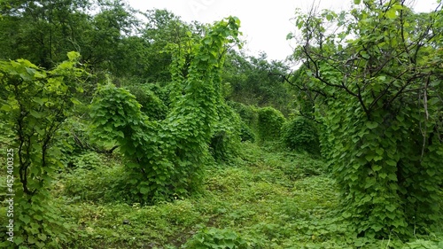 I took this picture during my beautiful, fun and exciting trip to the Dhofar region in the Sultanate of Oman