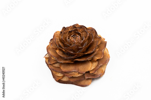 まつぼっくりの背景　Dry pine cone rose flower background  photo