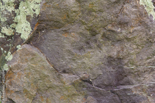 Moldy Rock Texture Surface 003
