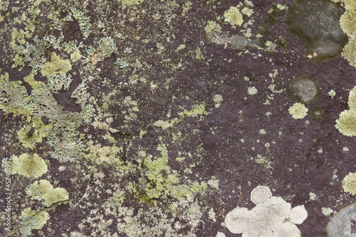 Moldy Red Rock Texture 002