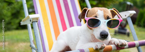 Jack russell terrier dog in sunglasses is resting on a sun lounger. Summer vacation concept. © Михаил Решетников