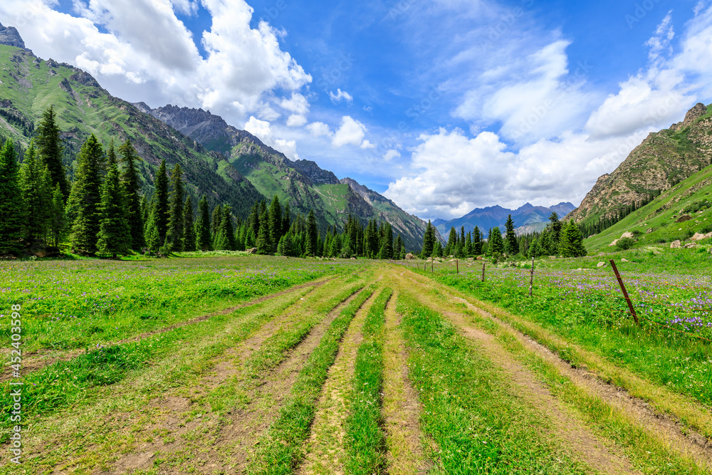 A walking path leads to distant mountains.beautiful natural scenery in Xiata Scenic Area,Xinjiang,China.