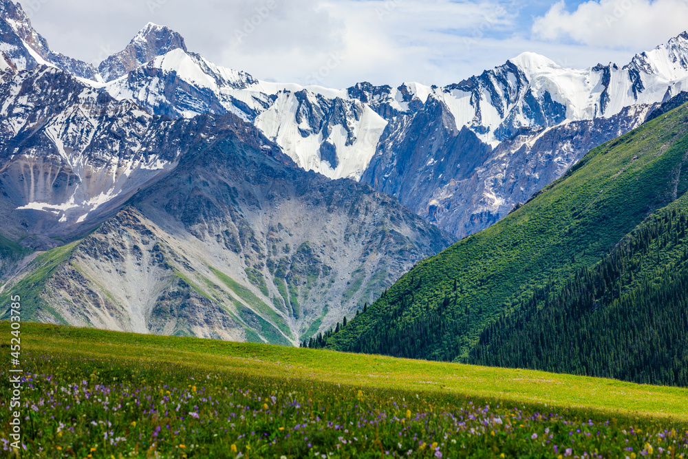 White glaciers and green grasslands in the Tianshan Mountains,Xinjiang,China.