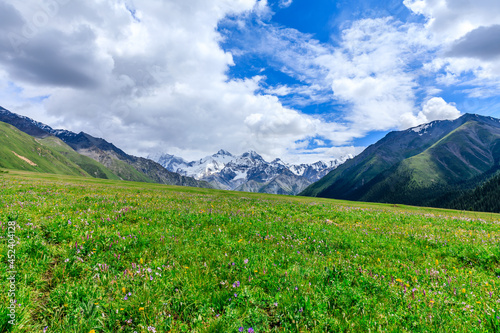 White glaciers and green grasslands in the Tianshan Mountains Xinjiang China.