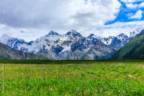 White glaciers and green grasslands in the Tianshan Mountains,Xinjiang,China. © ABCDstock