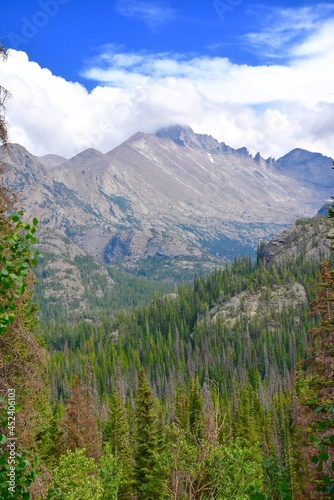 landscape in the mountains