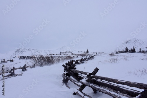 snow covered fence