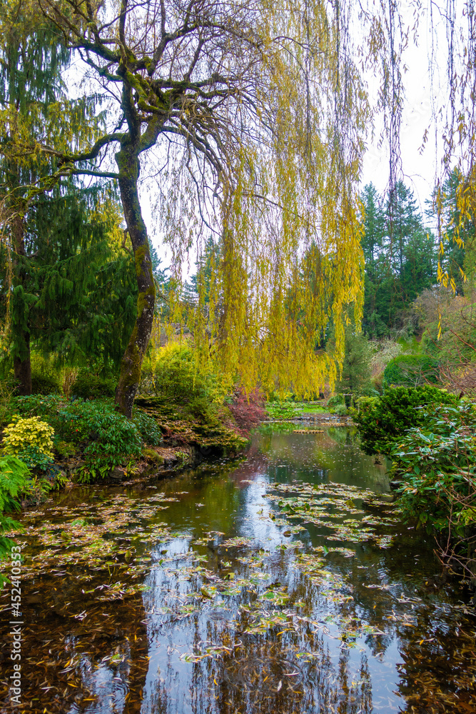 カナダのヴィクトリアの観光名所を旅行している風景 Scenes from a trip to the sights of Victoria, Canada. カナダのヴィクトリアの観光名所を旅行している風景 Scenes from a trip to the sights of Victoria, Canada.
